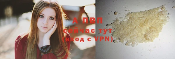 стафф Баксан